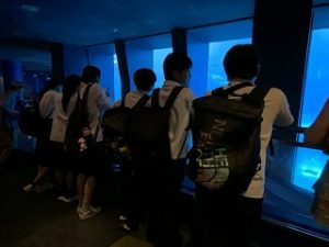 美ら海水族館